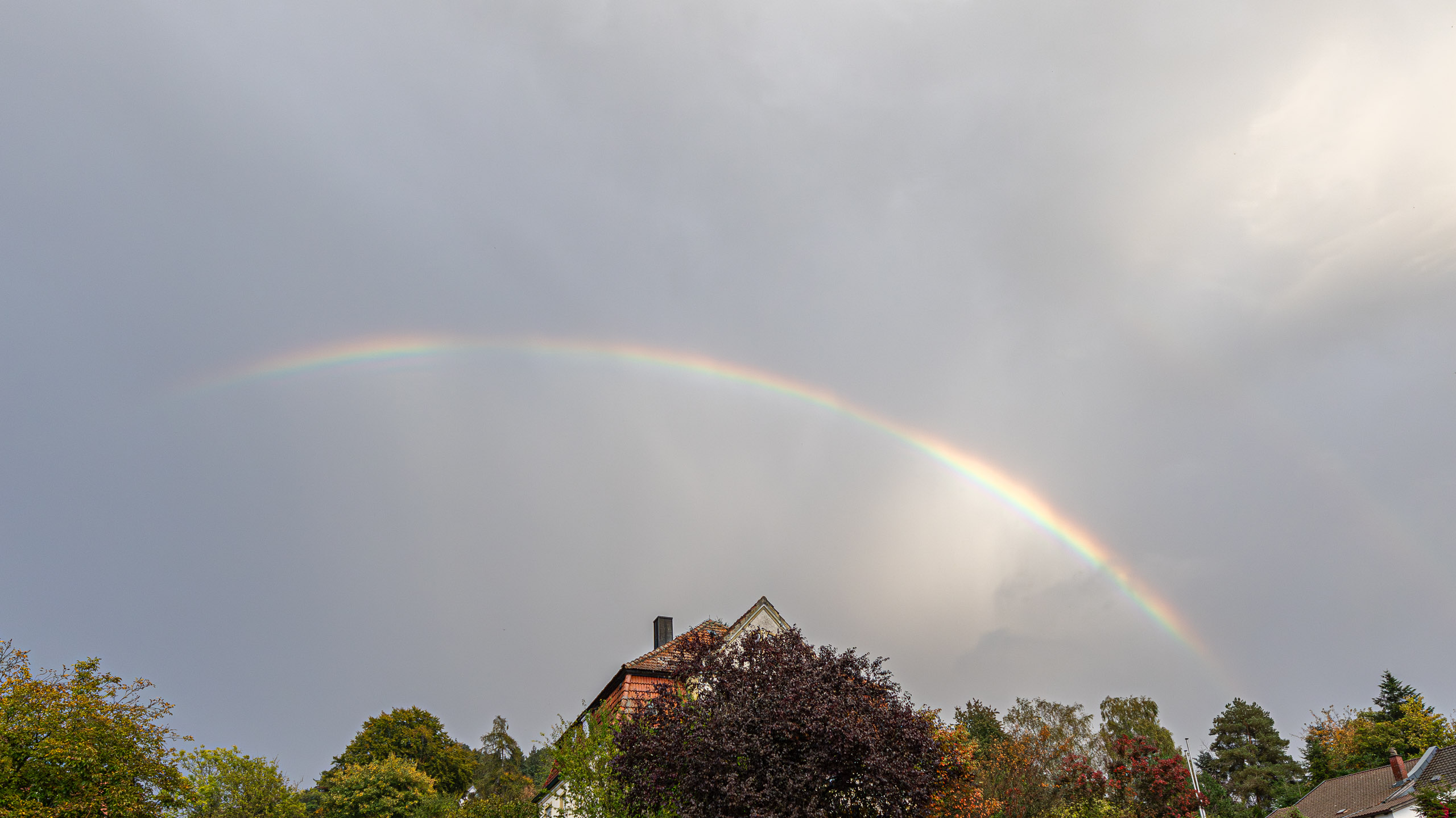 20231014175201 R5D 4277 e